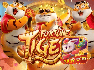 Guia install APK 8839BET BR